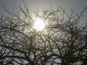 Hortolândia entra em estado de emergência por baixa umidade relativa do ar