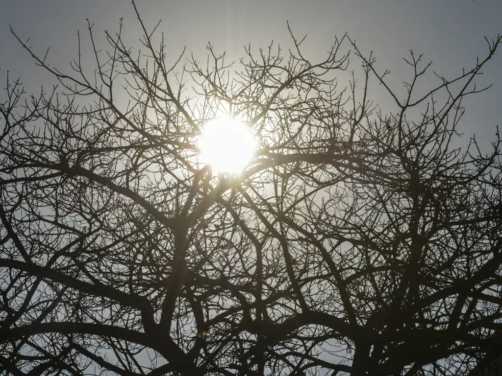Hortolândia entra em estado de emergência por baixa umidade relativa do ar